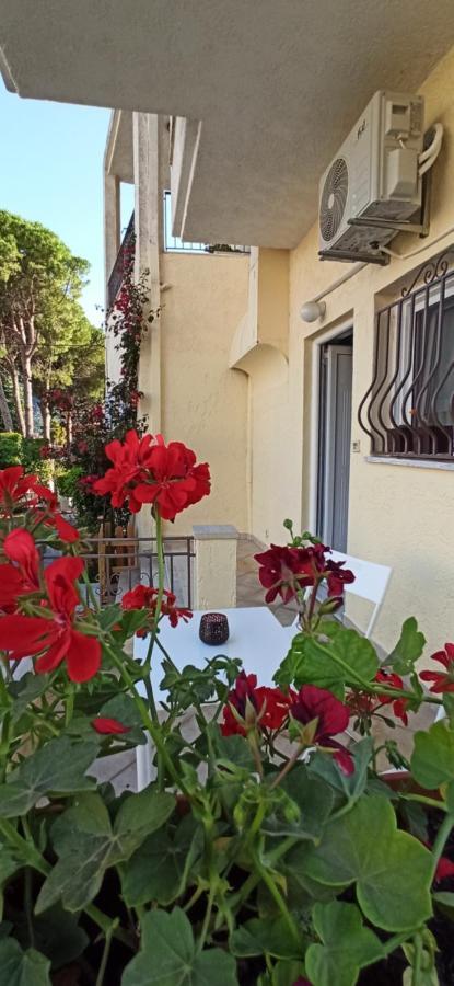 Marianthi'S Apartment Plataria Dış mekan fotoğraf